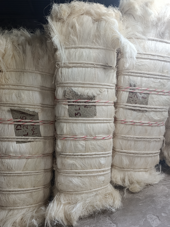 acheter sisal Madagascar